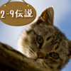 ねこ金