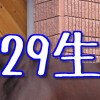 29生